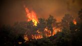 Greece 'at war' with raging wildfires on Rhodes, Corfu islands: The latest as thousands evacuate