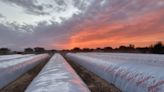 Se presentó un proyecto de ley para eliminar la norma que encarece los créditos a productores agropecuarios