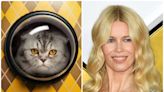 Claudia Schiffer’s cat makes acting debut in first trailer for movie Argylle