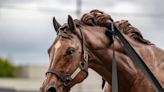 Secretariat Park in Paris to be dedicated on Saturday with unveiling of bronze statue