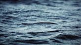 Man drowns in Broussard retention pond