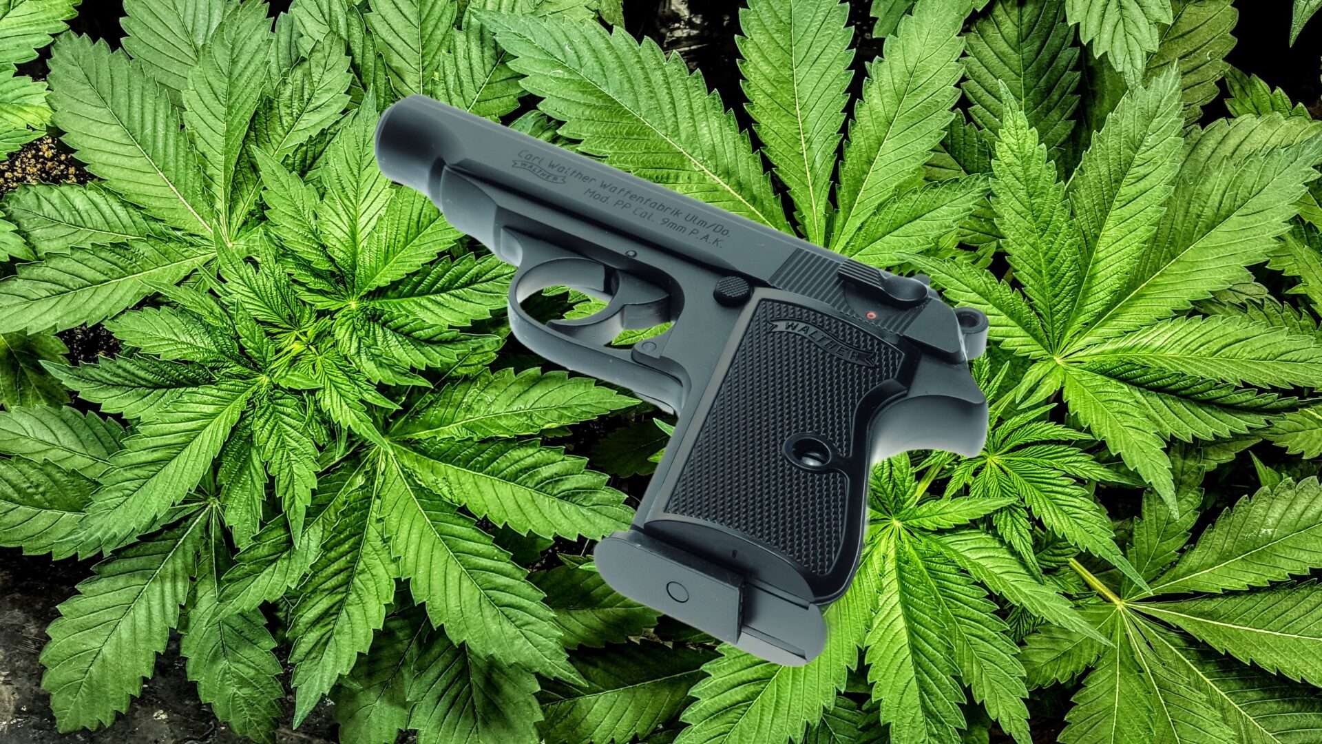 The DOJ Claims Medical Marijuana Patients Who Own Guns 'Endanger the Public in Multiple Ways'