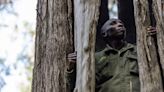 ‘We know the tactics they use’: The poachers turned gamekeepers of Kenya