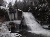 Swallow Falls State Park