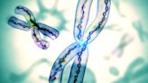 Científicos crean cromosoma artificial para curar enfermedades específicas