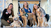 Third dog joins child healthcare team at Madison hospital