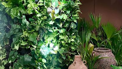 Plantas no escuro: jardim de 130 m² utiliza iluminação fotossintética