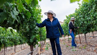Women behind Vintner's Diary share story of winemaking in the Napa Valley