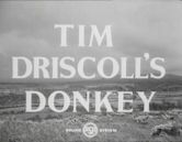 Tim Driscoll's Donkey