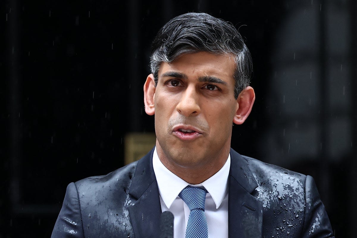 The best Rishi Sunak memes as prime minister announces 2024 general election in the rain