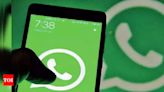 WhatsApp reaches 100 million milestone in the US, these are the States that contributed most users - Times of India