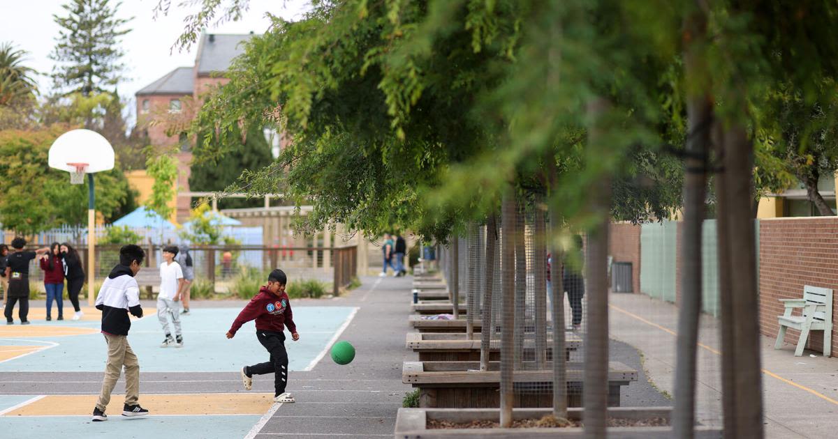 Trees, not asphalt: California aims to build 'cooler' school playgrounds