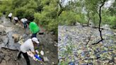 International Day For Conservation Of Mangrove Ecosystems: Mumbai To Identify Nullahs Carrying Trash Into Mangrove Forests