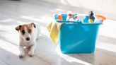 Cleaning Products You Shouldn’t Use Around Your Pets (And How To Keep Them Safe)