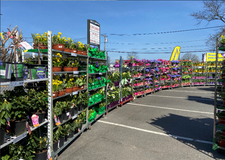 Outdoor garden centers popping up at Lidl stores in Delaware, Pennsylvania and New Jersey