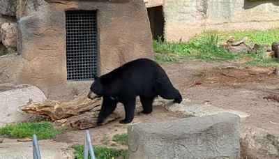 4 Things to Do Near San Francisco Zoo (A Guide)