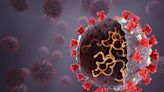 Coronavirus: qué se sabe hasta ahora de la nueva variante JN.1 y qué sugieren los expertos argentinos