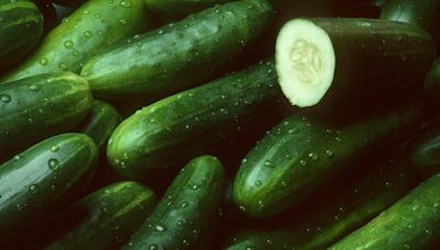 Cucumbers linked to salmonella outbreak in 31 states