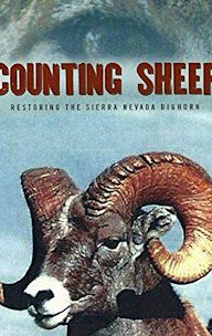 Counting the Sheep