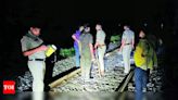 Lion killed by speeding passenger train near Liliya | Rajkot News - Times of India