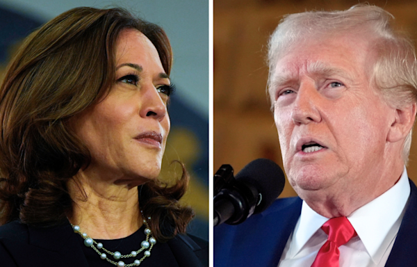 Trump leads Harris by just 2 points in Florida: Poll