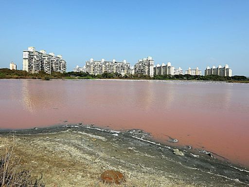 Still at 3-year low, Mumbai’s lake water level rising slowly; 10% supply cut likely to stay for now