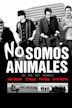 No somos animales