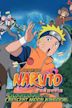 Naruto The Movie 3: Guardians of the Crescent Moon Kingdom