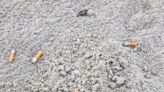 Tybee's beach is not an 'ashtray' – shore goes smoke-free this summer