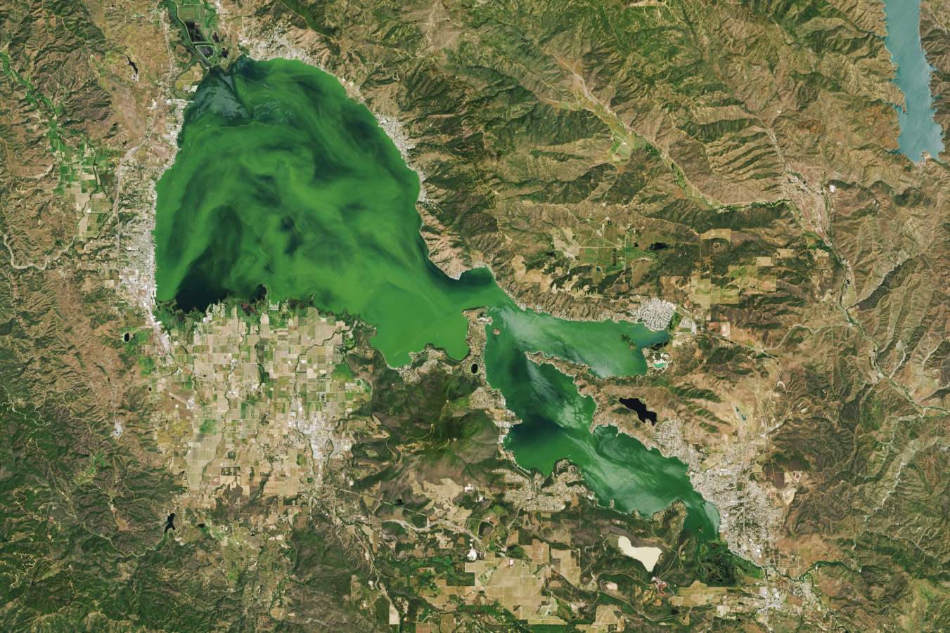 Troubled California lake turns so green it's visible from space