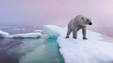 Climate change: The 'insane' plan to save the Arctic's sea-ice