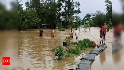 Three more die in Assam floods | Guwahati News - Times of India