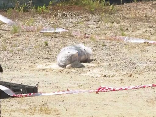 Corea del Norte lanza más de 200 globos llenos de basura y excrementos a Corea del Sur