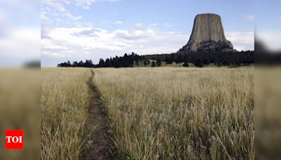 21-year-old rock climber dies in tragic fall from Devils Tower in US - Times of India