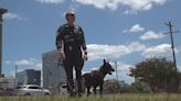 It all starts with a bond: K9 officer describes "best job in the department"