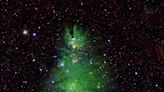 NASA releases image of 'Christmas Tree Cluster': How the stars got the festive nickname