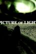 Picture of Light