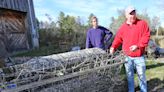 What it takes to start an oyster farm in Dover: Harvest after tough times 'worth the wait'