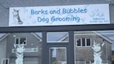 Dog grooming salon moves to larger site after success