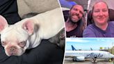 Overheated dog dies on airplane in front of heartbroken family: ‘We want some sort of change’