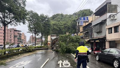 基隆隧道前路樹倒塌交通受阻 下午恢復單線通車