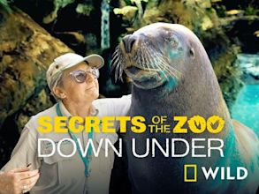 Secrets of the Zoo