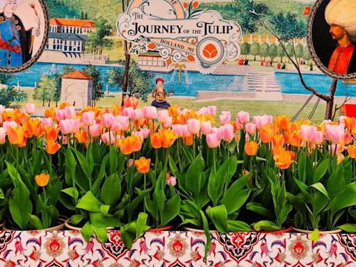 Destination: Holland, Mich. Tulip Time a colorful portal to region's history, allure