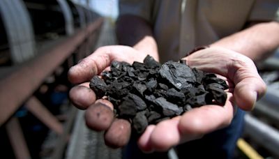 Digging Into Mohnish Pabrai's Coal Portfolio