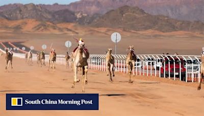 Why rapper Swizz Beatz is chasing a share of US$21 million prize pot in Saudi camel race