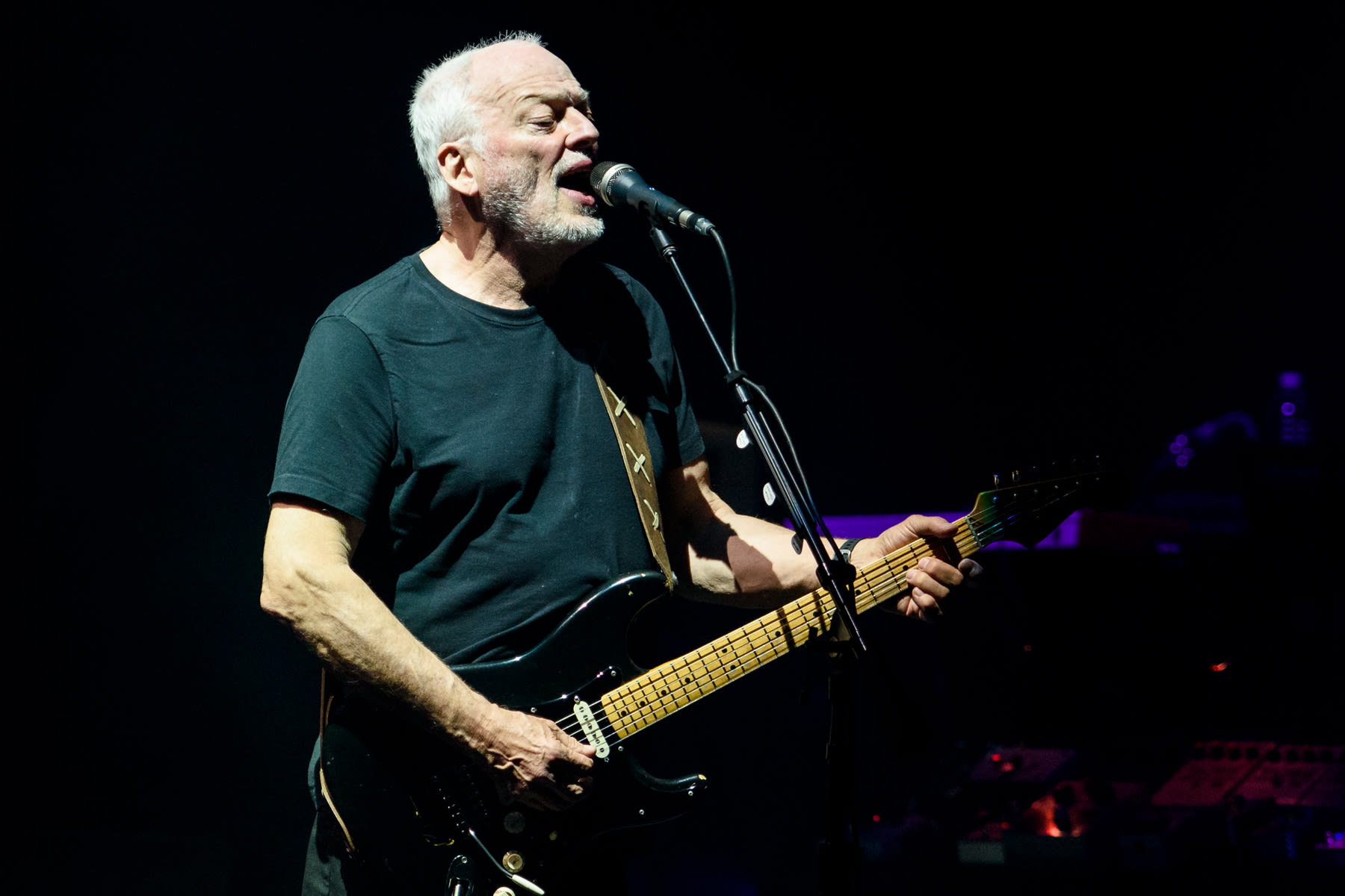 David Gilmour’s Final ‘Comfortably Numb’? Watch the Pink Floyd Icon Play ‘The Wall’ Classic in 2016