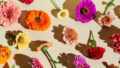 The Hidden Meanings Behind All 24 Birth Flowers