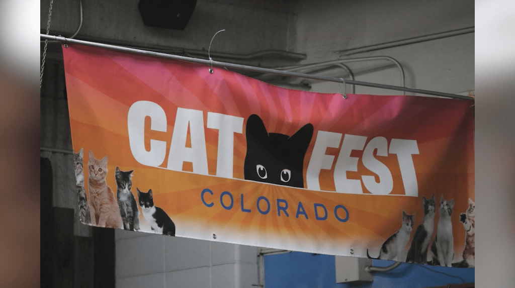 Cat Fest returns to Colorado Springs at new location