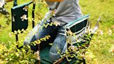 This 2-in-1 garden bench is a 'knee and back saver' for green thumbs: 'Sturdy, lightweight and comfortable'