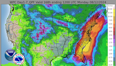 4 dead after Debby slams Florida, causing massive flooding and widespread outages: Updates